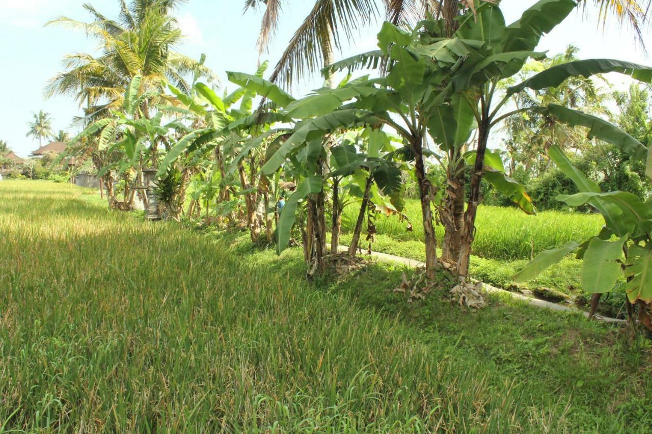 Ubud River Campuhan Villa Exterior foto