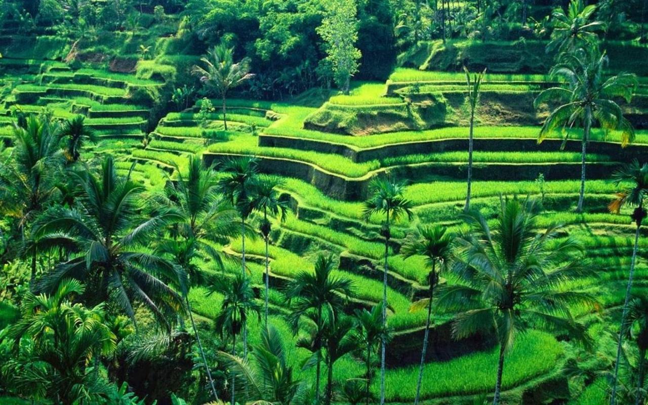 Ubud River Campuhan Villa Exterior foto